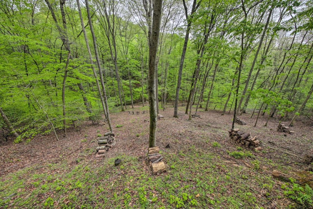 Peaceful Blue Ridge Cabin With Decks And Fire Pit Dış mekan fotoğraf
